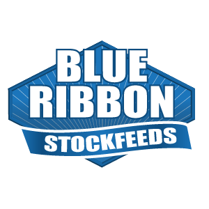 Blue Ribbon Stockfeeds produce quality feed products manufactured from Queensland grown grains.