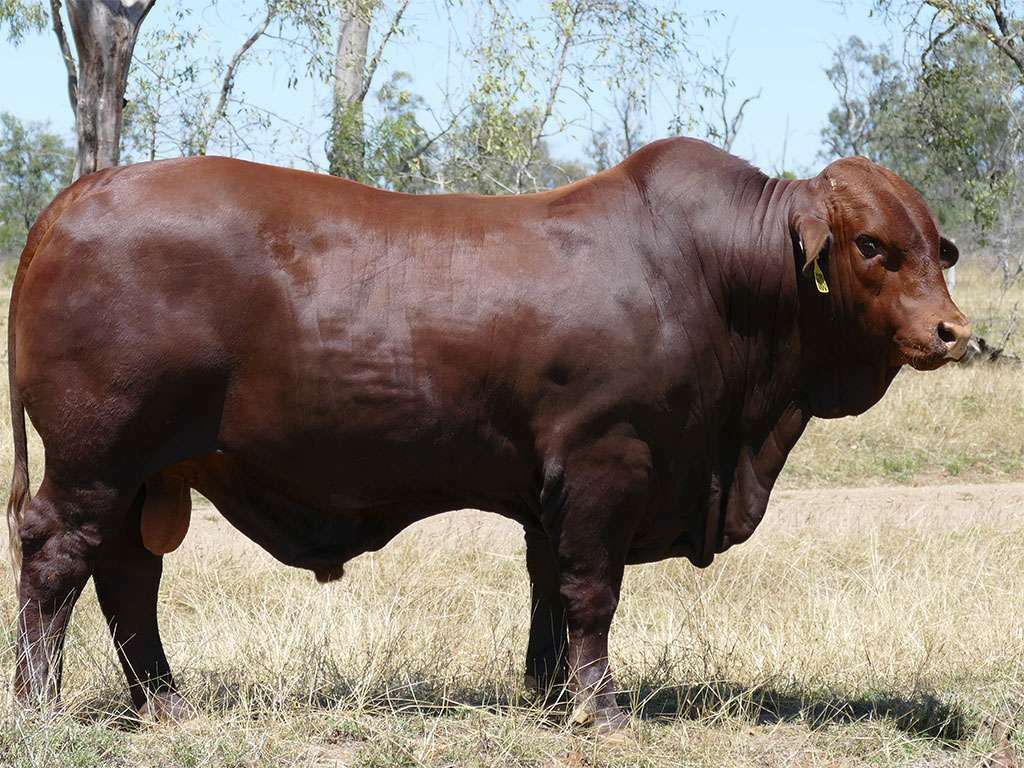 Lot 104