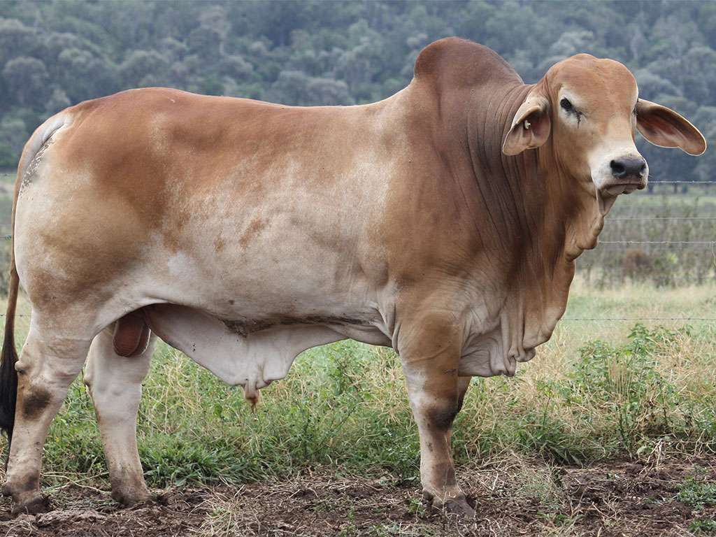 Lot 8 2