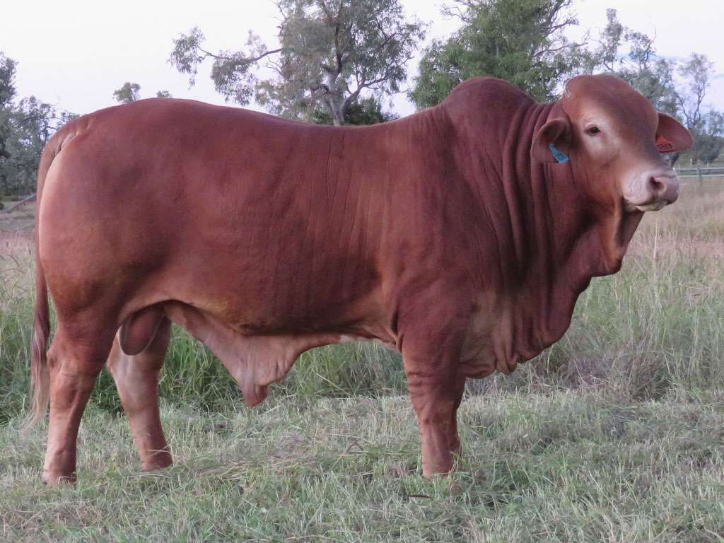 lot 103